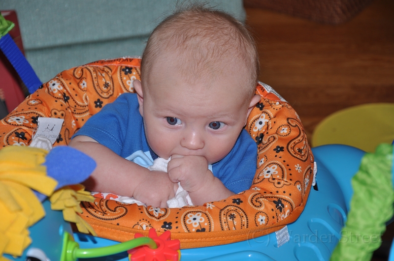 William's Eleventh Week 44.jpg